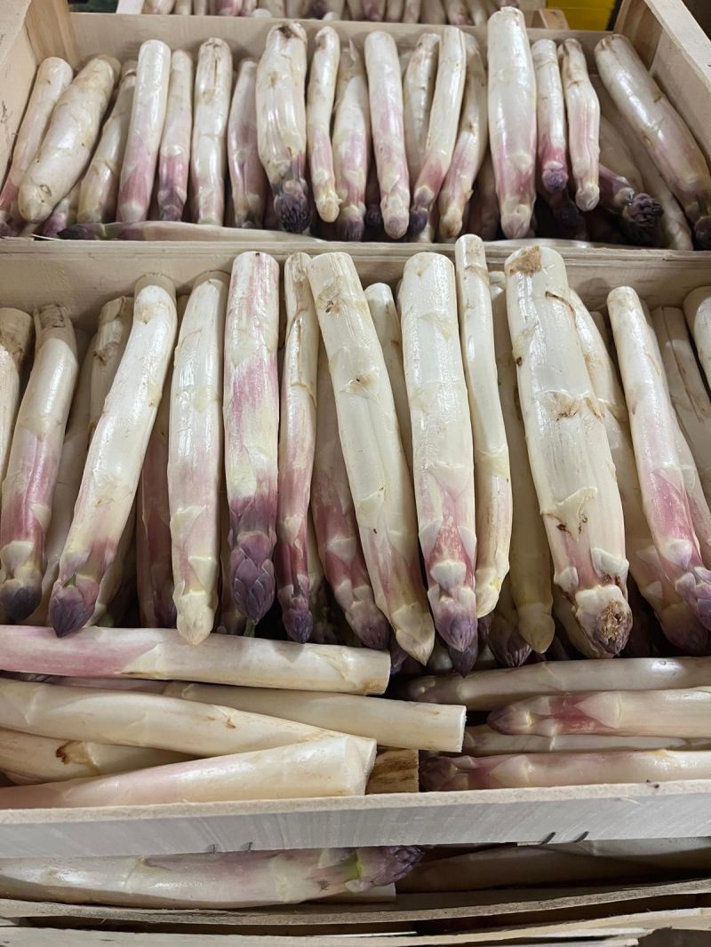 Asperges blanches — Les Halles du Verger