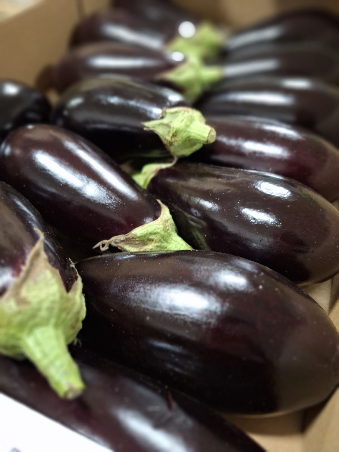 Aubergines — Les Halles du Verger