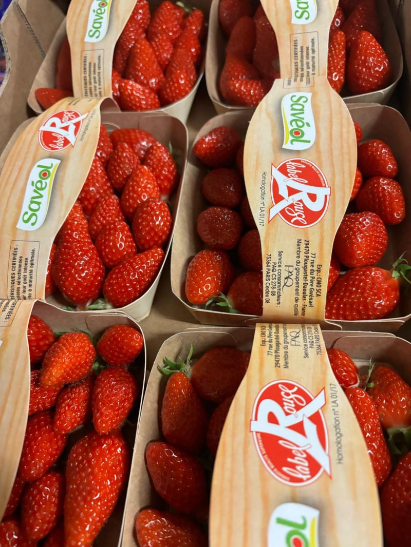 Fraises Label Rouge Savéol — Les Halles du Verger