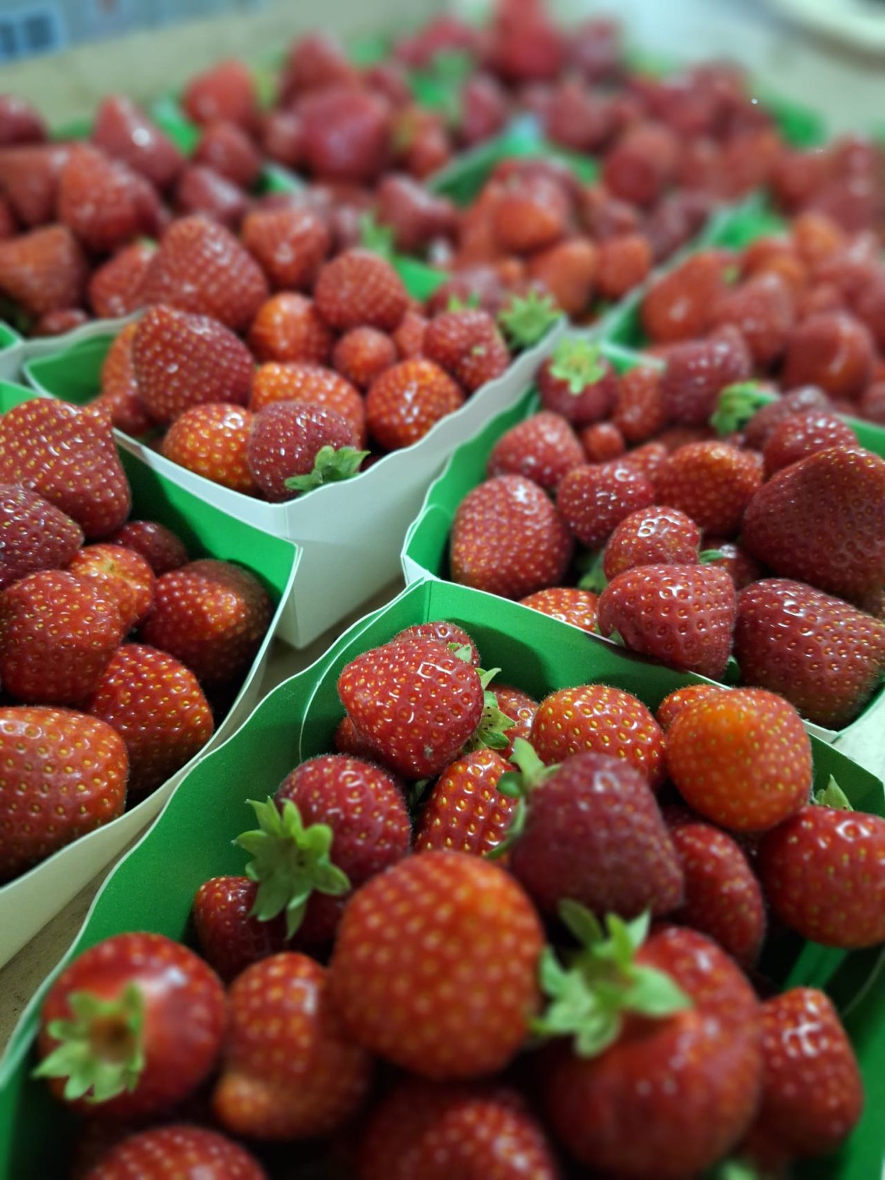 Fraises fraîches — Les Halles du Verger