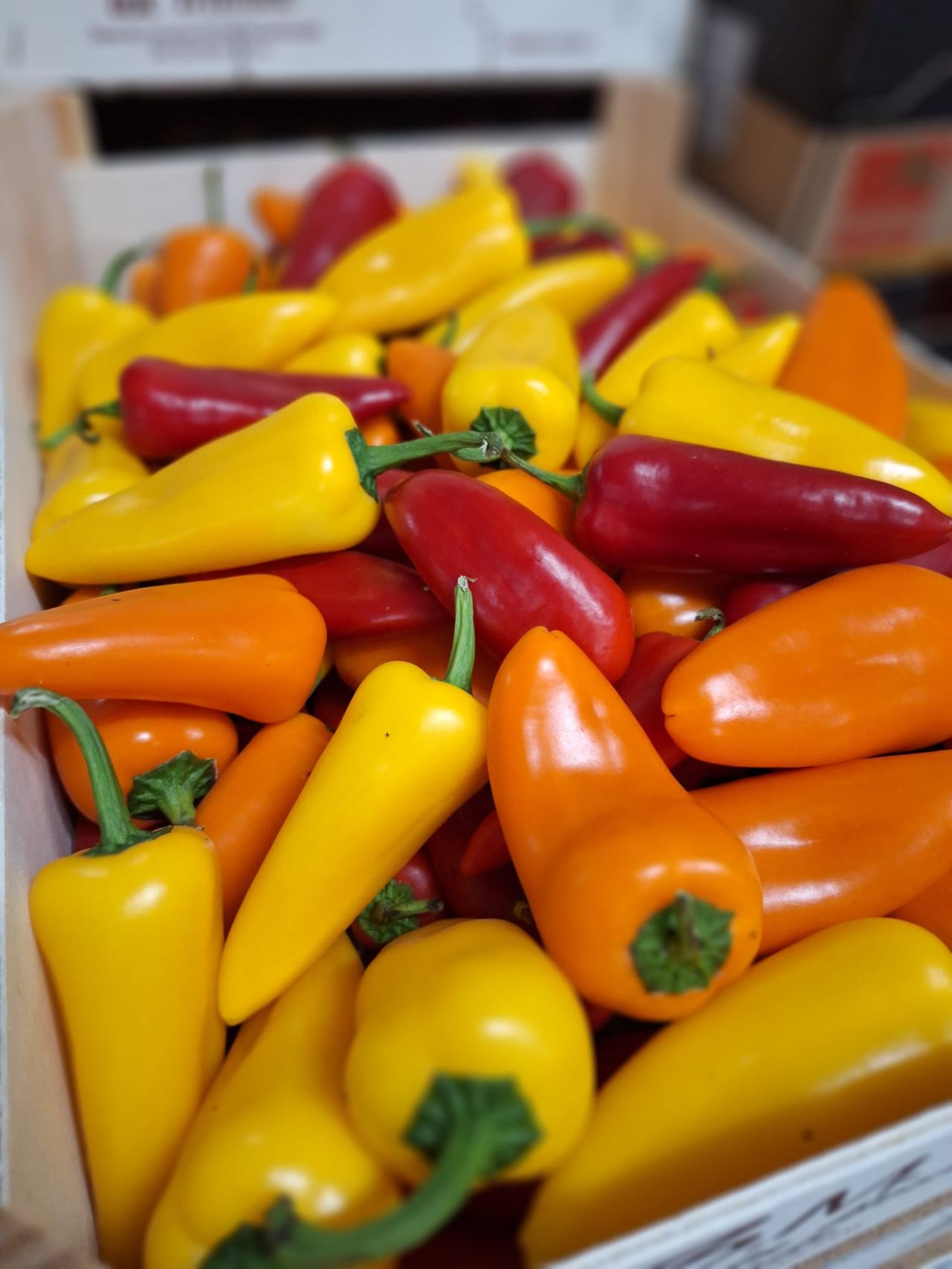 Mini poivrons tricolores — Les Halles du Verger