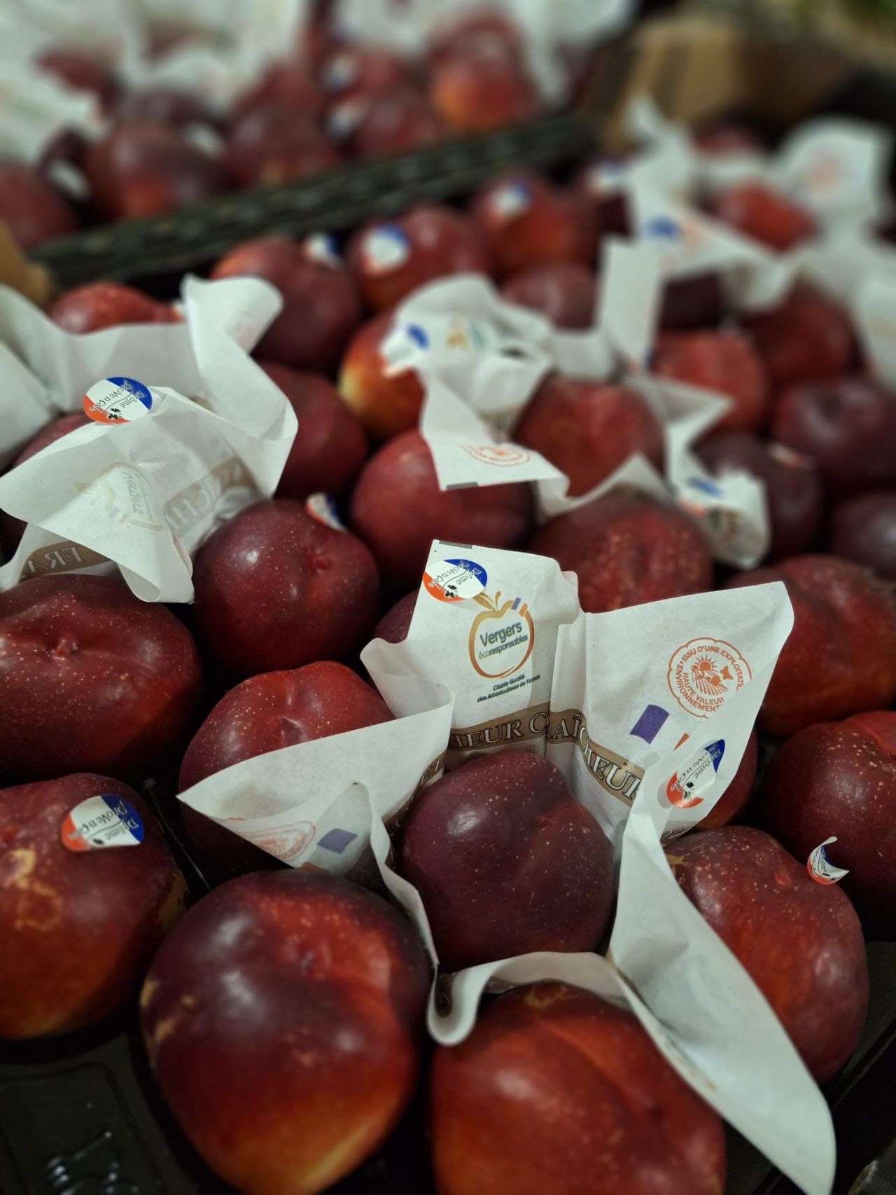 Nectarines Vergers Responsables — Les Halles du Verger