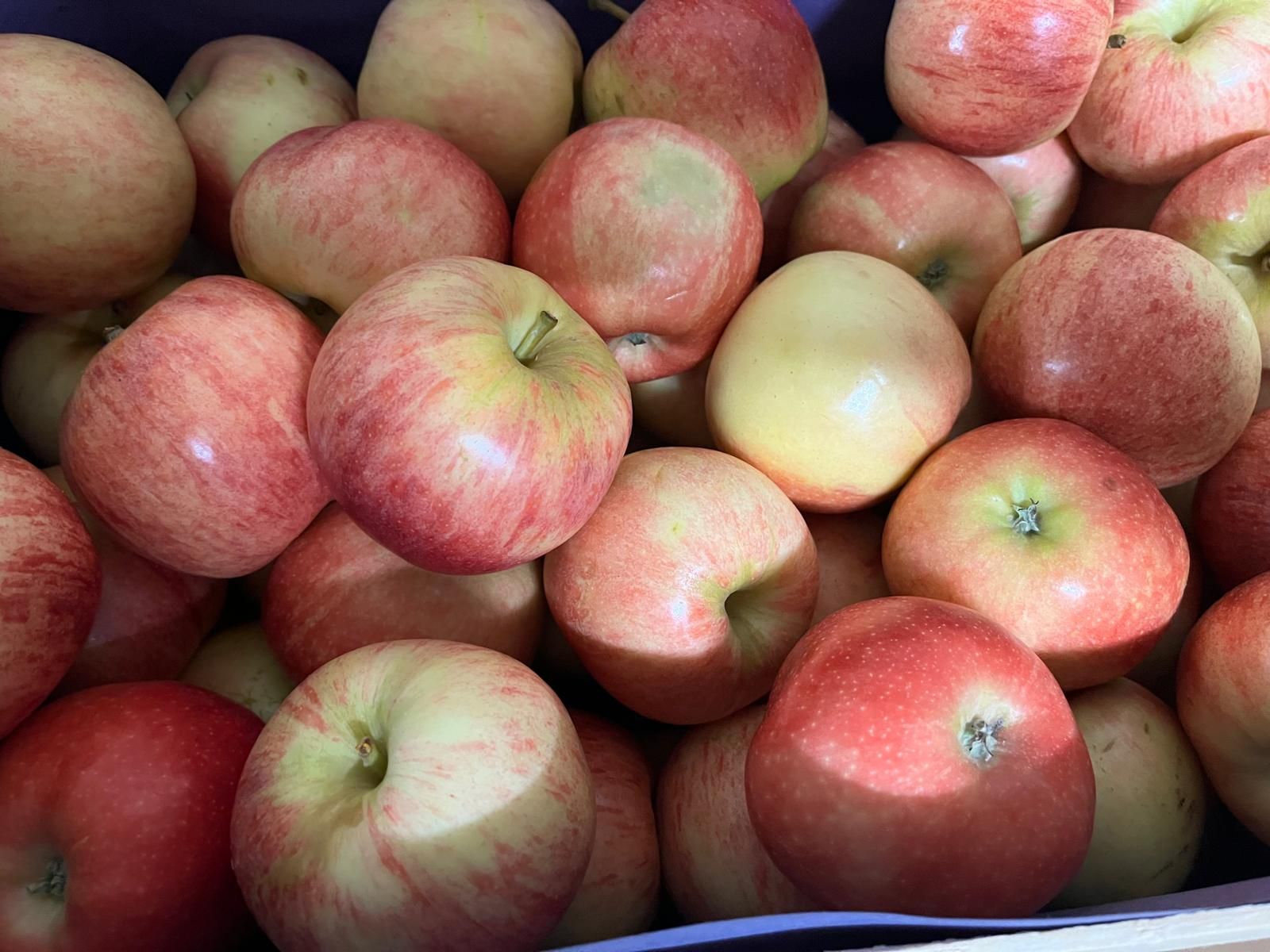 Pommes — Les Halles du Verger