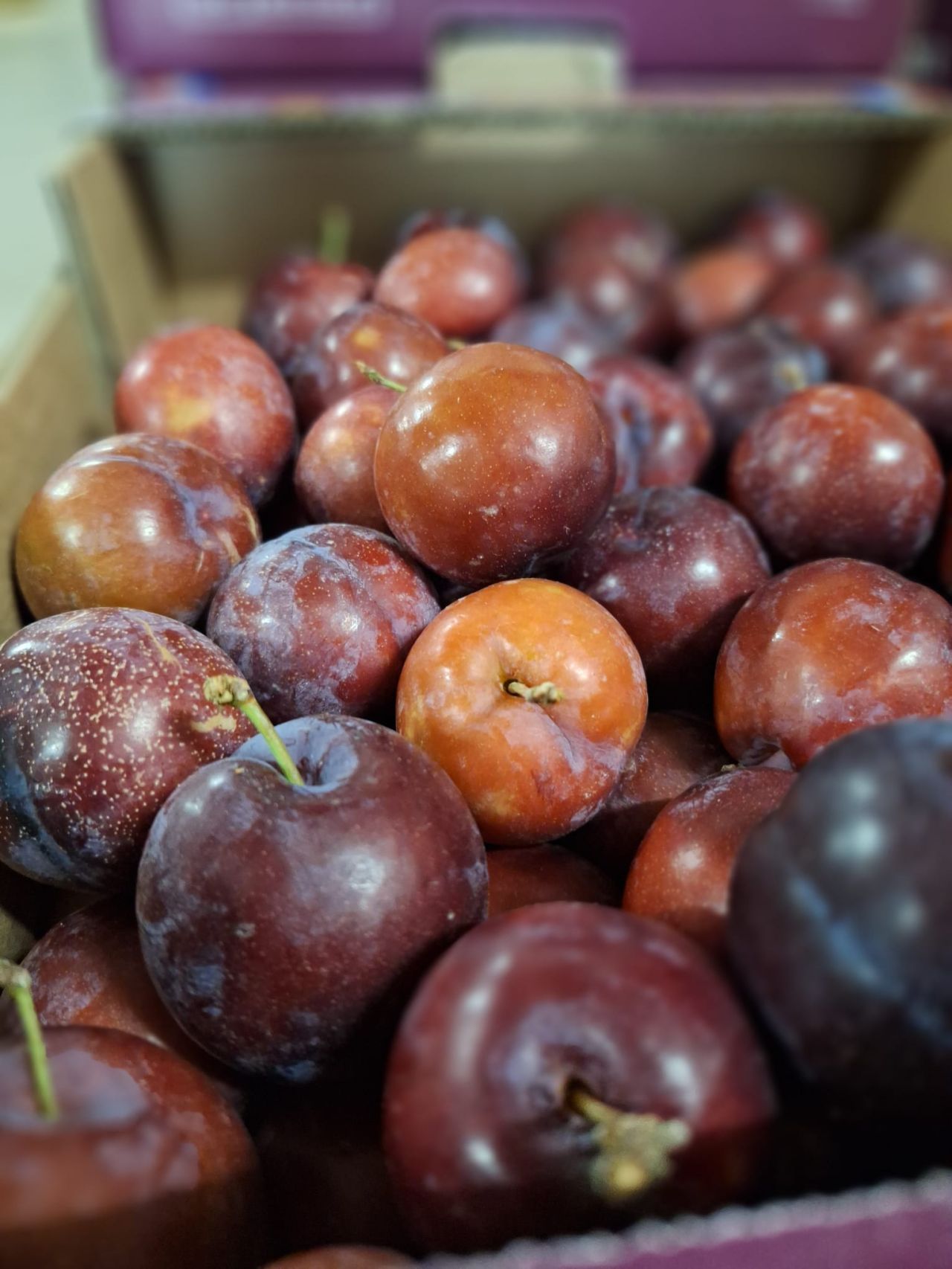 Prunes rouges — Les Halles du Verger
