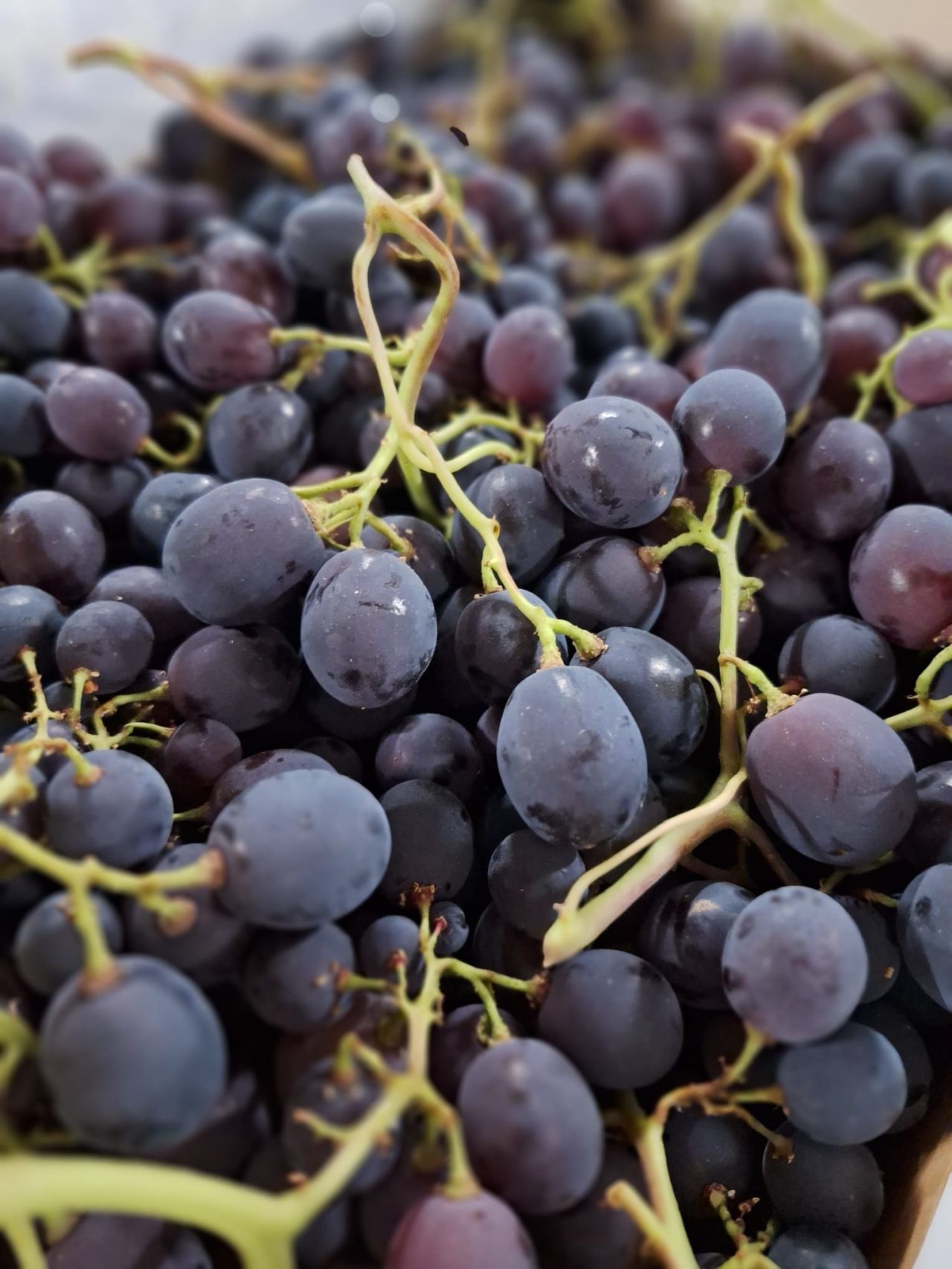 Raisin noir — Les Halles du Verger