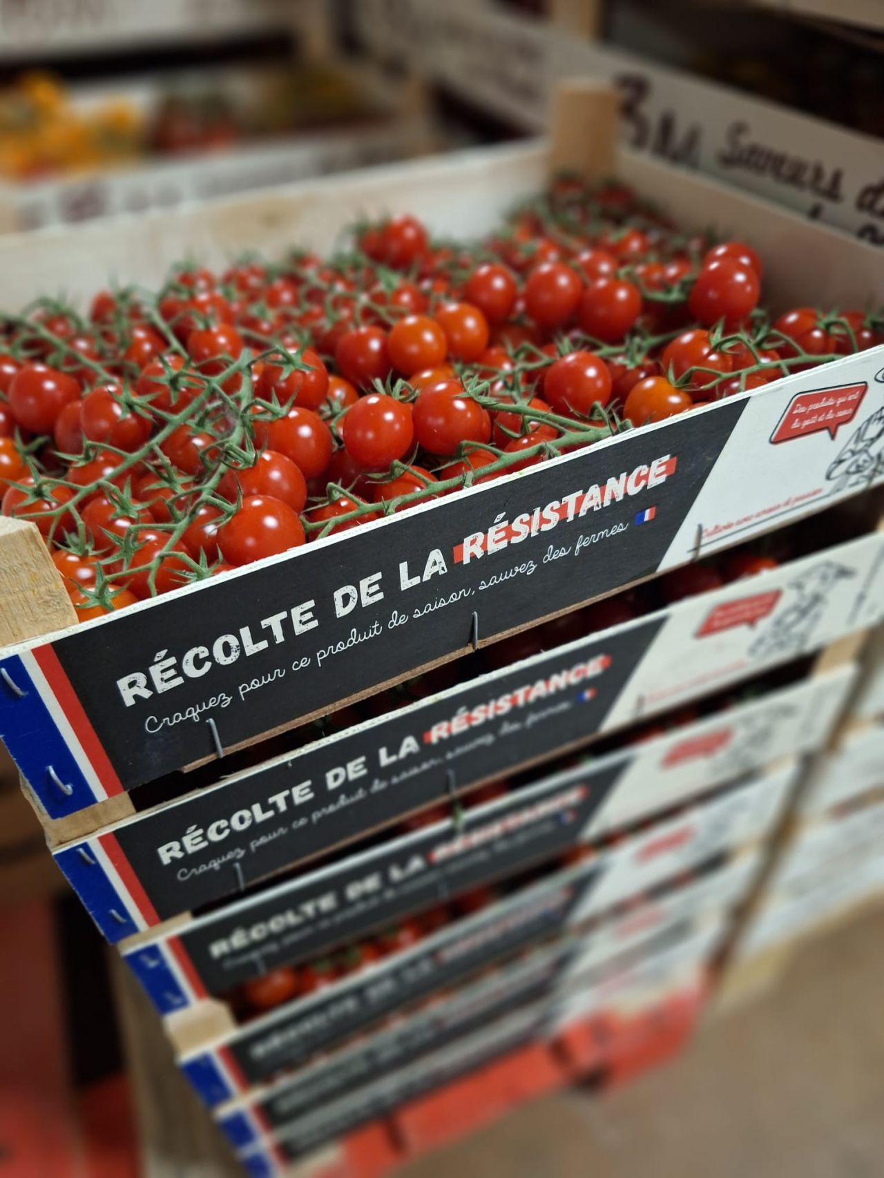 Tomates cerises Récolte de la Résistance — Les Halles du Verger