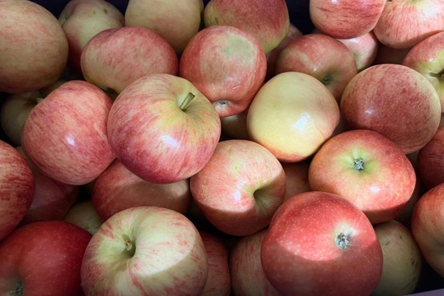 Pommes fraîches — Les Halles du Verger