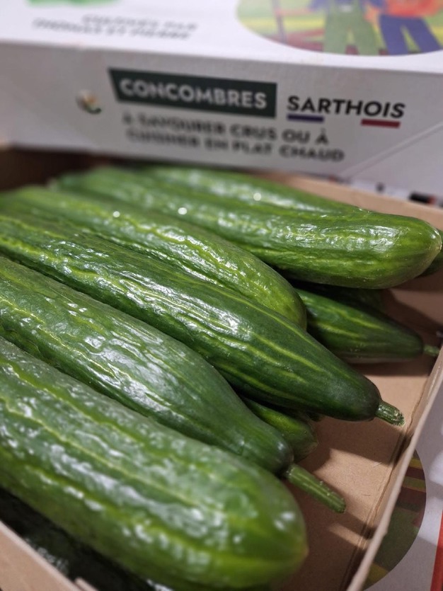Concombres Sarthois — Les Halles du Verger
